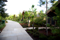WL Resort Pics